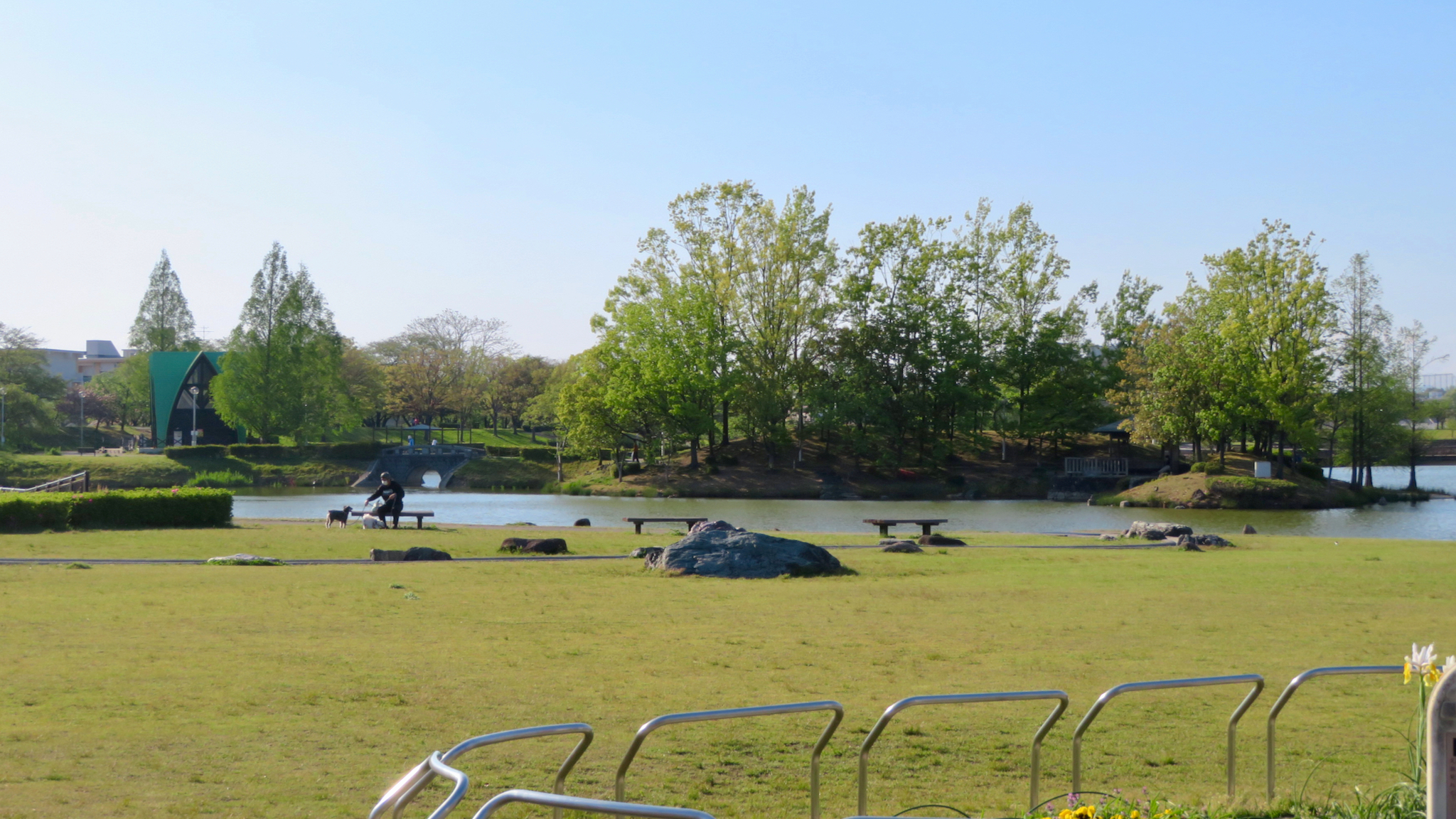春日井市の落合公園。池の島と芝生が広がる風景